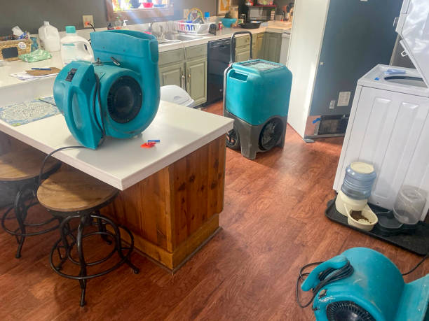 Best Local water damage restoration  in Jacksonville, NC