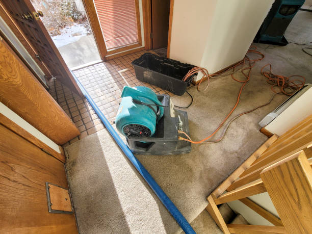 Best 24-hour water damage restoration  in Jacksonville, NC
