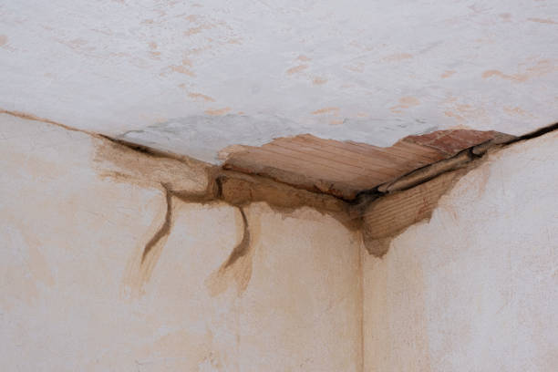 Best Water damage cleanup near me  in Jacksonville, NC