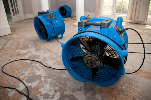 Sewage cleanup and water damage restoration in Jacksonville, NC