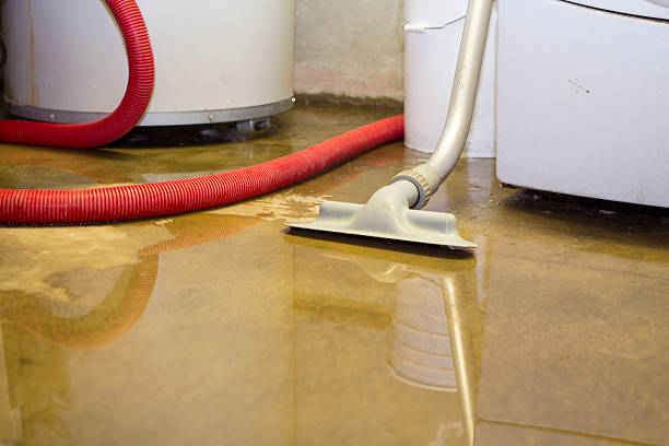 Best Water damage restoration near me  in Jacksonville, NC