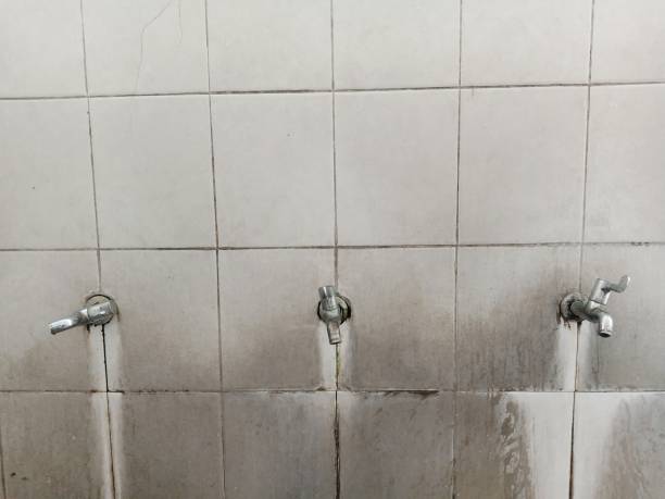 Carpet water damage restoration in Jacksonville, NC