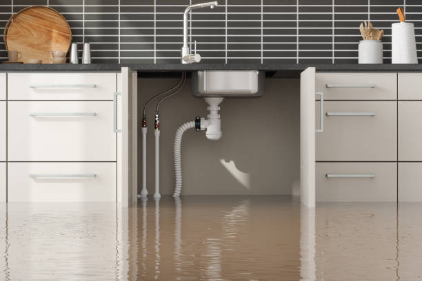Best Water damage restoration near me  in Jacksonville, NC