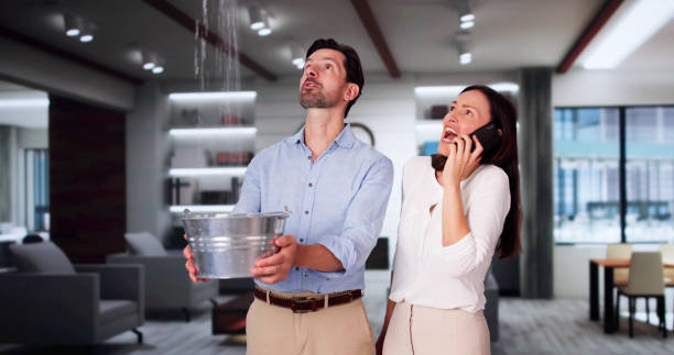 Best Ceiling water damage repair  in Jacksonville, NC