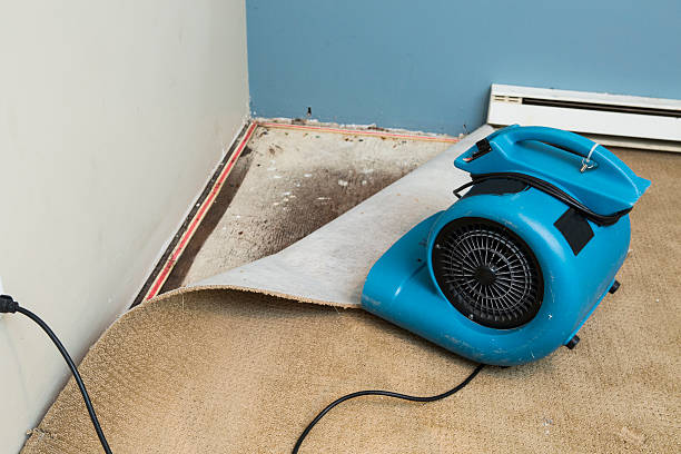 Best Flooded house restoration  in Jacksonville, NC